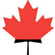 Canada Times Immigration Consultancy Inc.